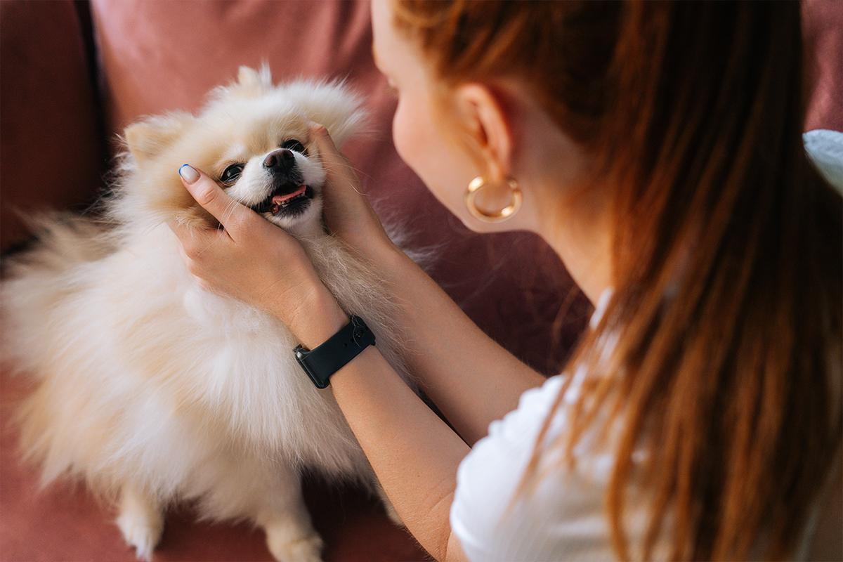 Un Pomerania con su tutora