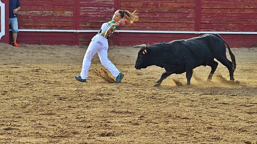 Concurso de cortes, quiebros y saltos en Benavente. / E. P.