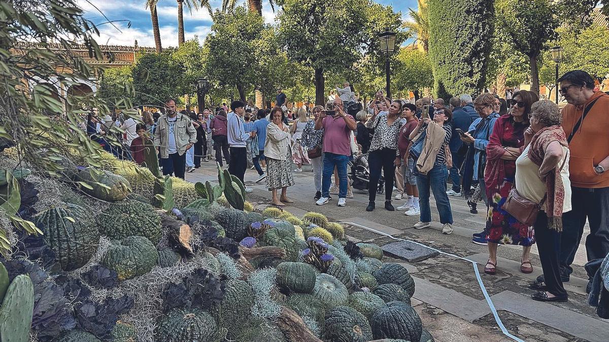 Espectadores en el Patio de los Naranjos ante la obra de Emily Thompson, 2º premio en 2024.