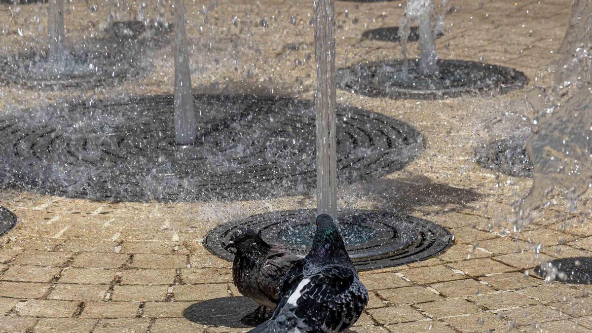 La ola de calor dispara los termómetros en Alicante: aviso naranja por máximas de 40 grados