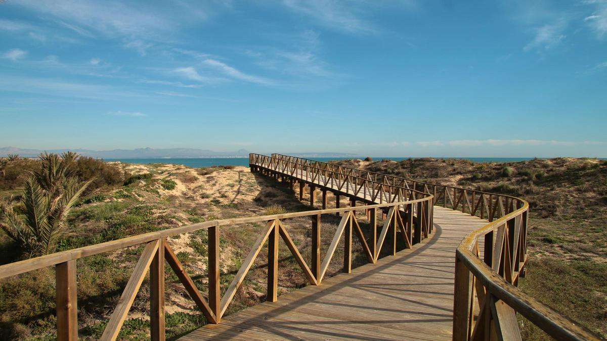 Los amantes del turismo activo y deporte al aire libre encontrarán en Guardamar el destino perfecto.