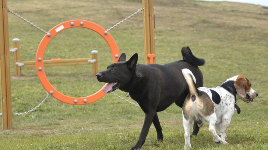 Cambre ultima el contrato del área canina y reordenación en O Temple