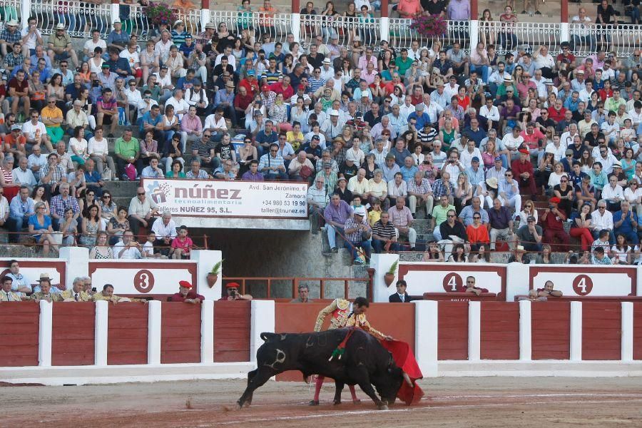 Toros en Zamora