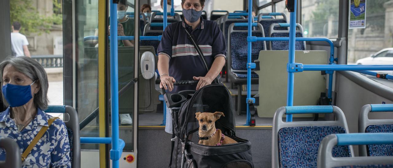 Francisco Mosquera en el interior de una línea de autobús en la ciudad de Ourense.   | // BRAIS LORENZO