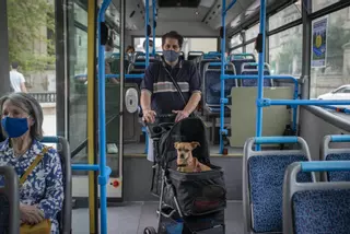 Fifi ya se sube al autobús en Ourense