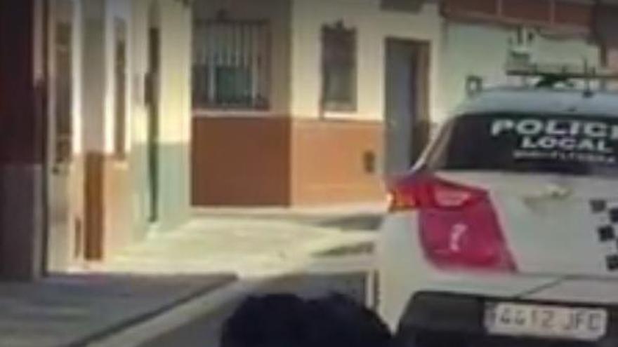 Policías locales atan un perro a un coche y lo arrastran por su pueblo en Ciudad Real