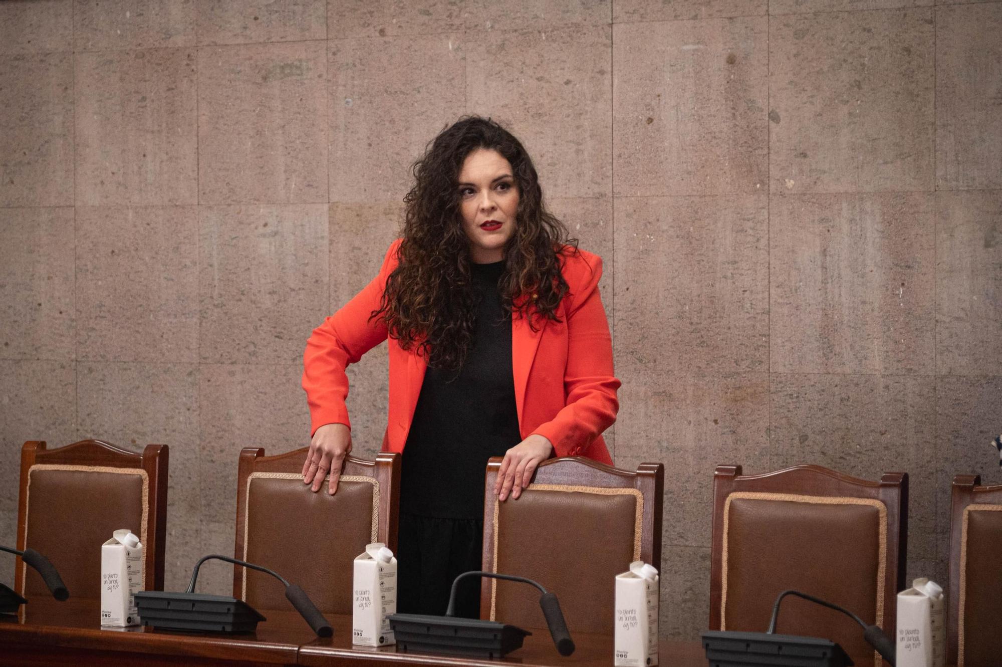 Moción de censura en Granadilla de Abona