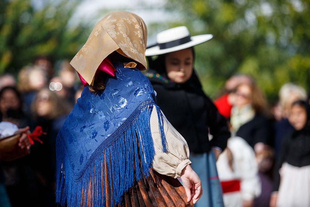 Fiestas de Santa Gertrudis