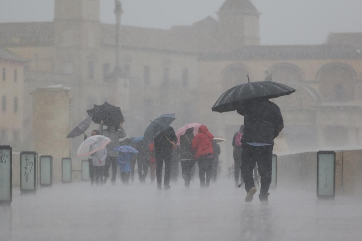 La lluvia en Córdoba deja una decena de incidencias