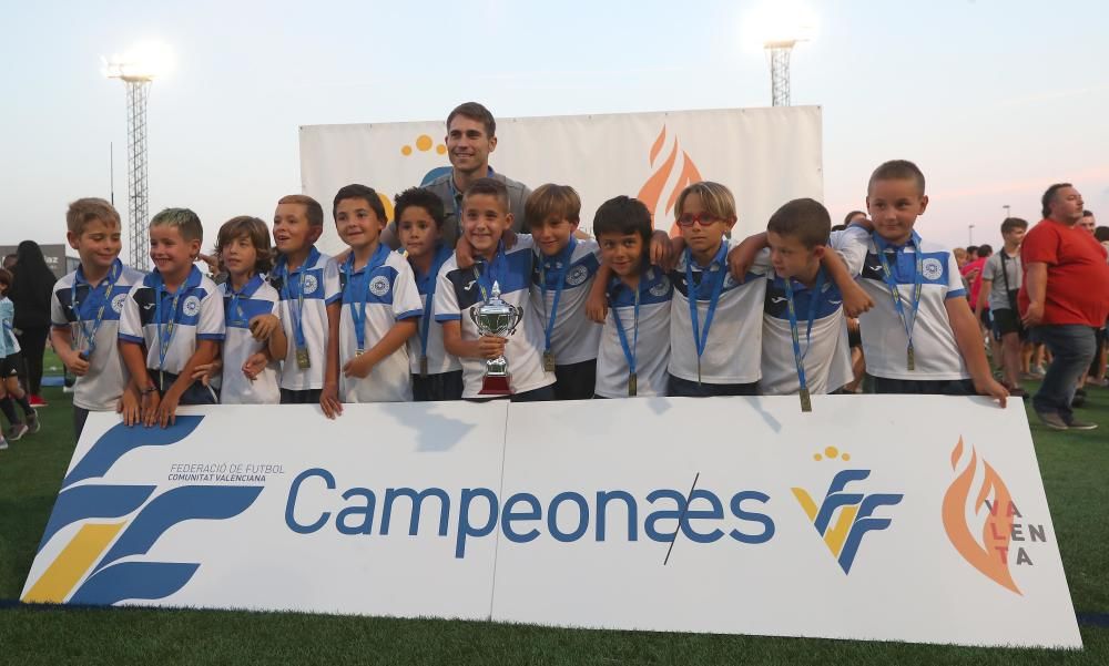 Campeones futbol 8