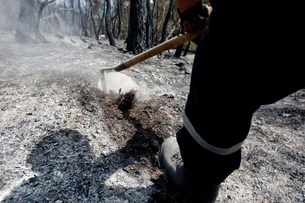 Así fue el incendio de Torremanzanas (agosto,2012)