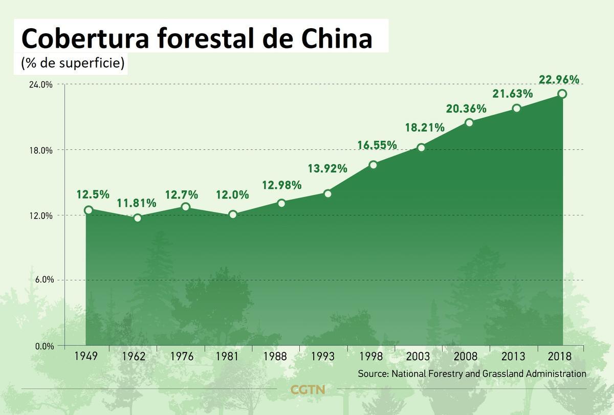 Evolución de la cobertura forestal en China