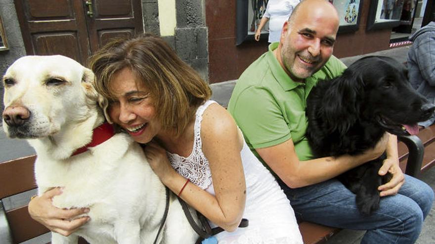 Sandra Pérez y Abel Hernández sonríen junto a sus perros &#039;Adara&#039; y &#039;Flynt&#039;, en un banco de la calle Triana.
