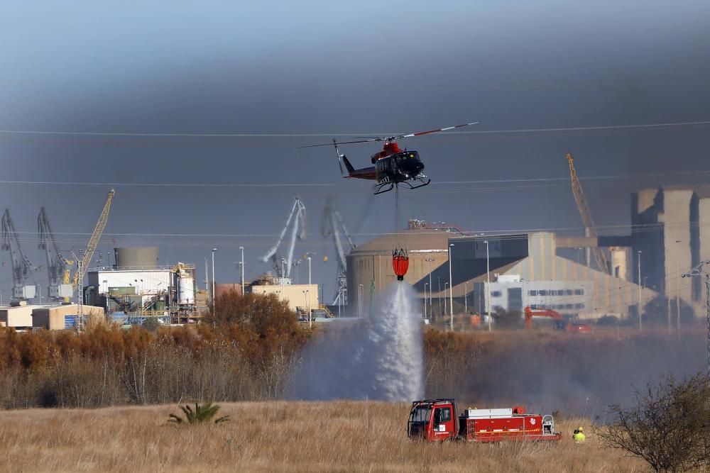 Incendio forestal en el Marjal dels Moros en Sagunt