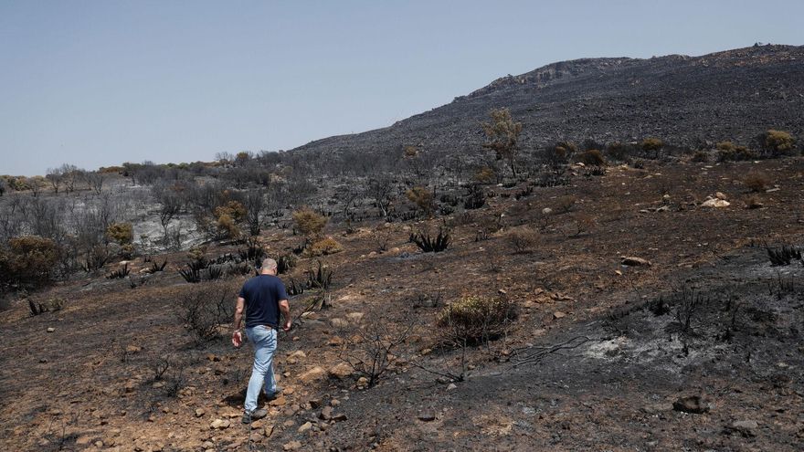 El Infoca logra controlar el incendio de Tarifa tras cuatro días de trabajos en la zona