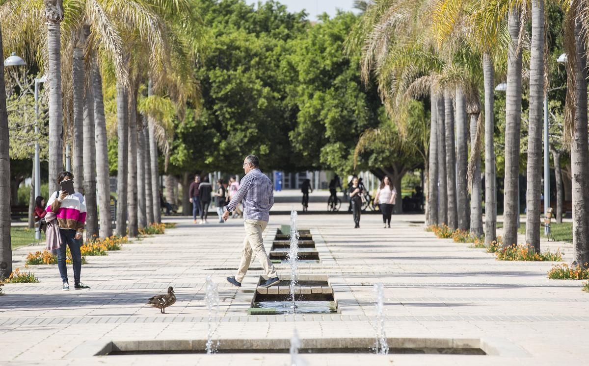 Alumando en uno de los paseos de la UA