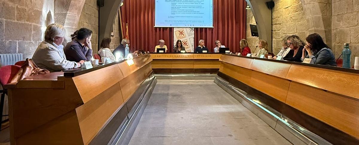 El ple del Consell Comarcal