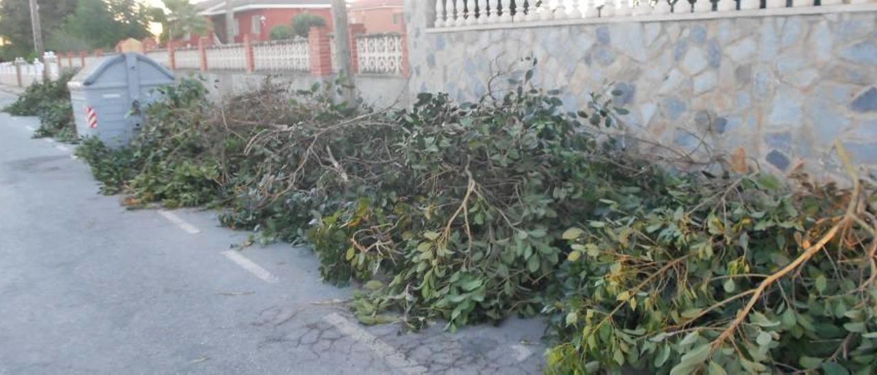 El Ayuntamiento reduce a la mitad el coste del servicio de recogida de poda y madera