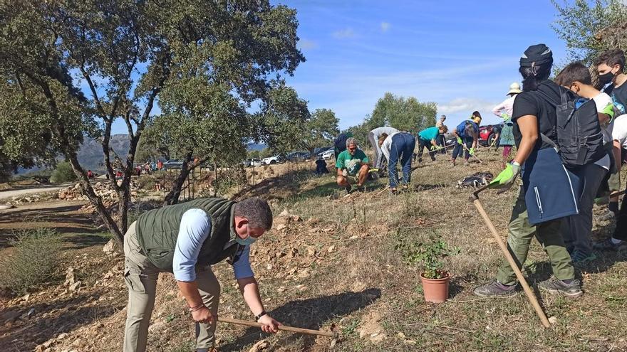 La Diputación de Málaga planta más de 1.600 árboles en Villanueva de Algaidas, Riogordo y Alfarnatejo