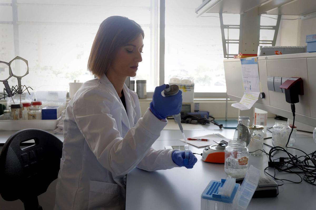 Tecnologia VALENCIA: La innovación valenciana es la que más crece tras ...