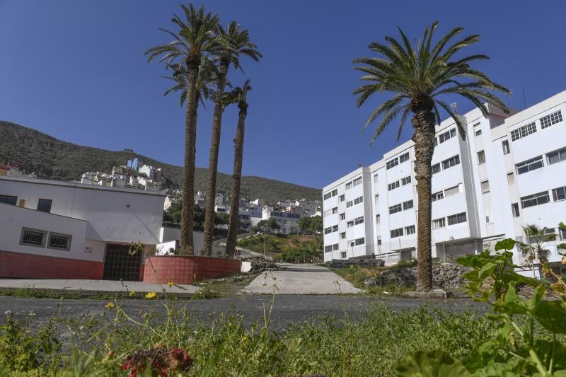 LAS PALMAS DE GRAN CANARIA  06-02-2019  LAS PALMAS DE GRAN CANARIA.  Palmeras en el solar en donde Hiperdino proyecta construir un supermercado y reconstruir la Iglesia de La Vega de San Jose.  FOTOS: JUAN CASTRO  | 06/02/2019 | Fotógrafo: Juan Carlos Castro