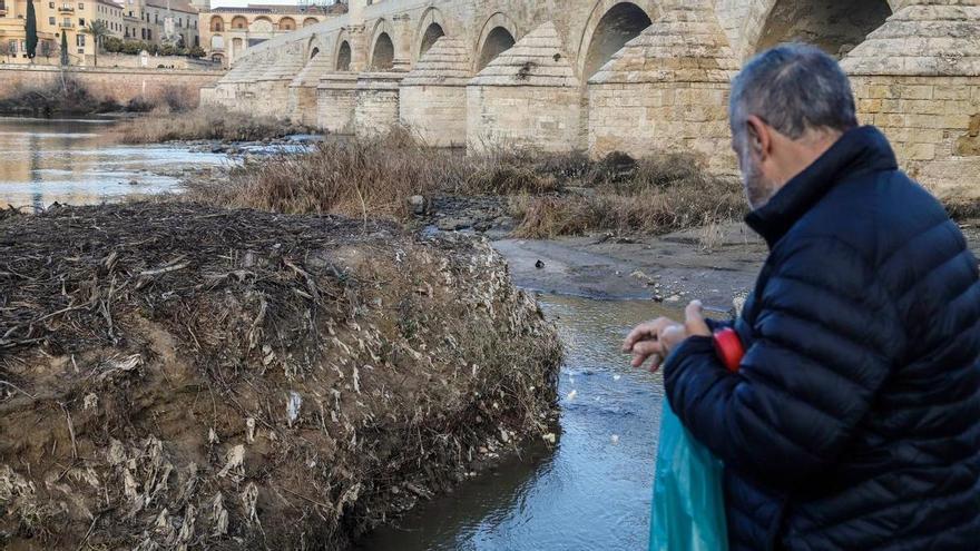 Emerge una isla de toallitas y sedimentos junto al Puente Romano