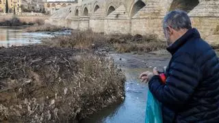 Emerge una isla de toallitas y sedimentos junto al Puente Romano