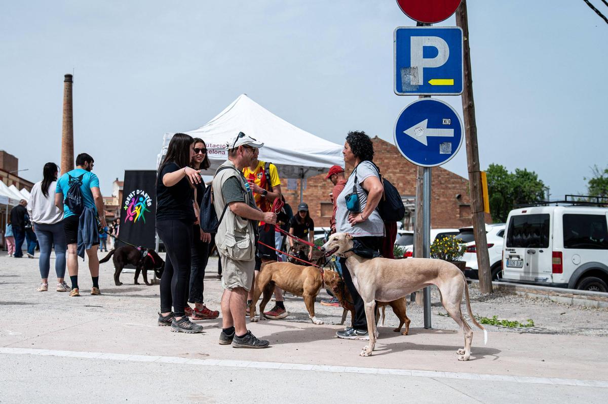L'entrada a l'espai de gossos "La trobada més animal" de Cal Sitges