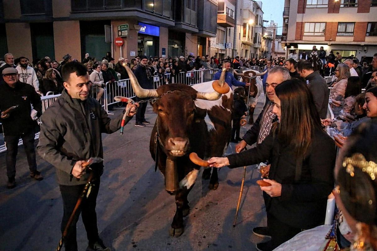 La bendición de animales y el reparto del rollo son citas clave.