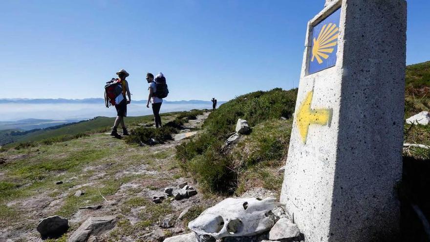 Peregrinos en la ruta de los Hospitales, entre Tineo y Allande.