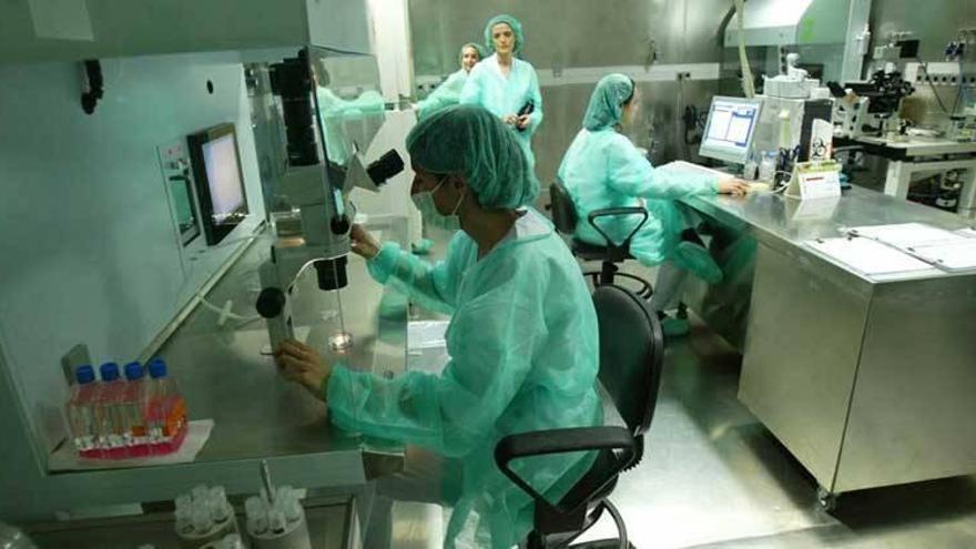 El SES incluirá técnicas de inseminación artificial en las ocho áreas de salud de Extremadura