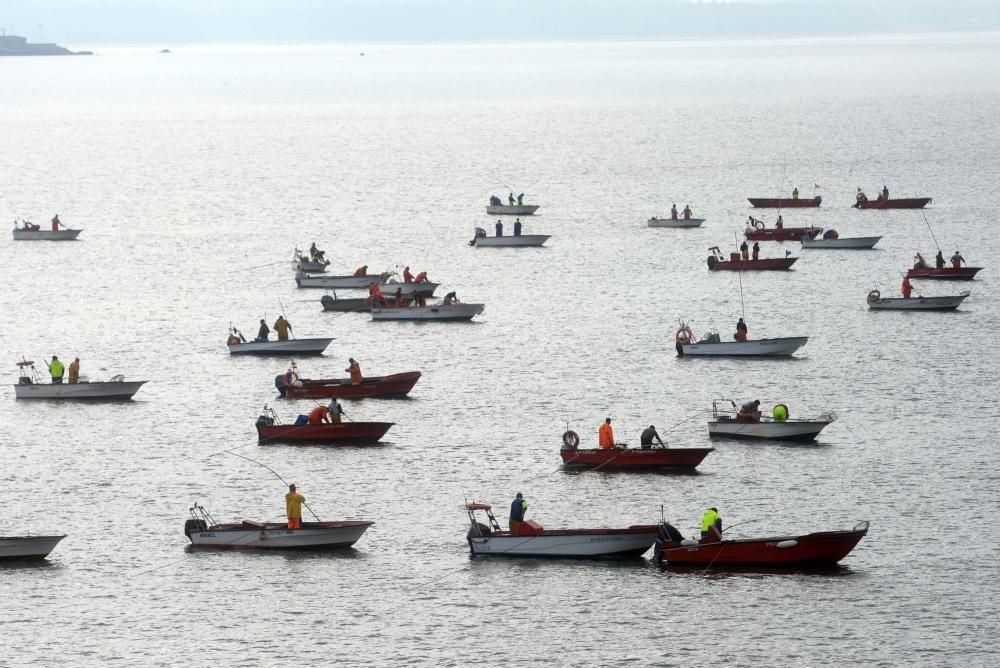 Libre marisqueo bajo el puente de A Illa