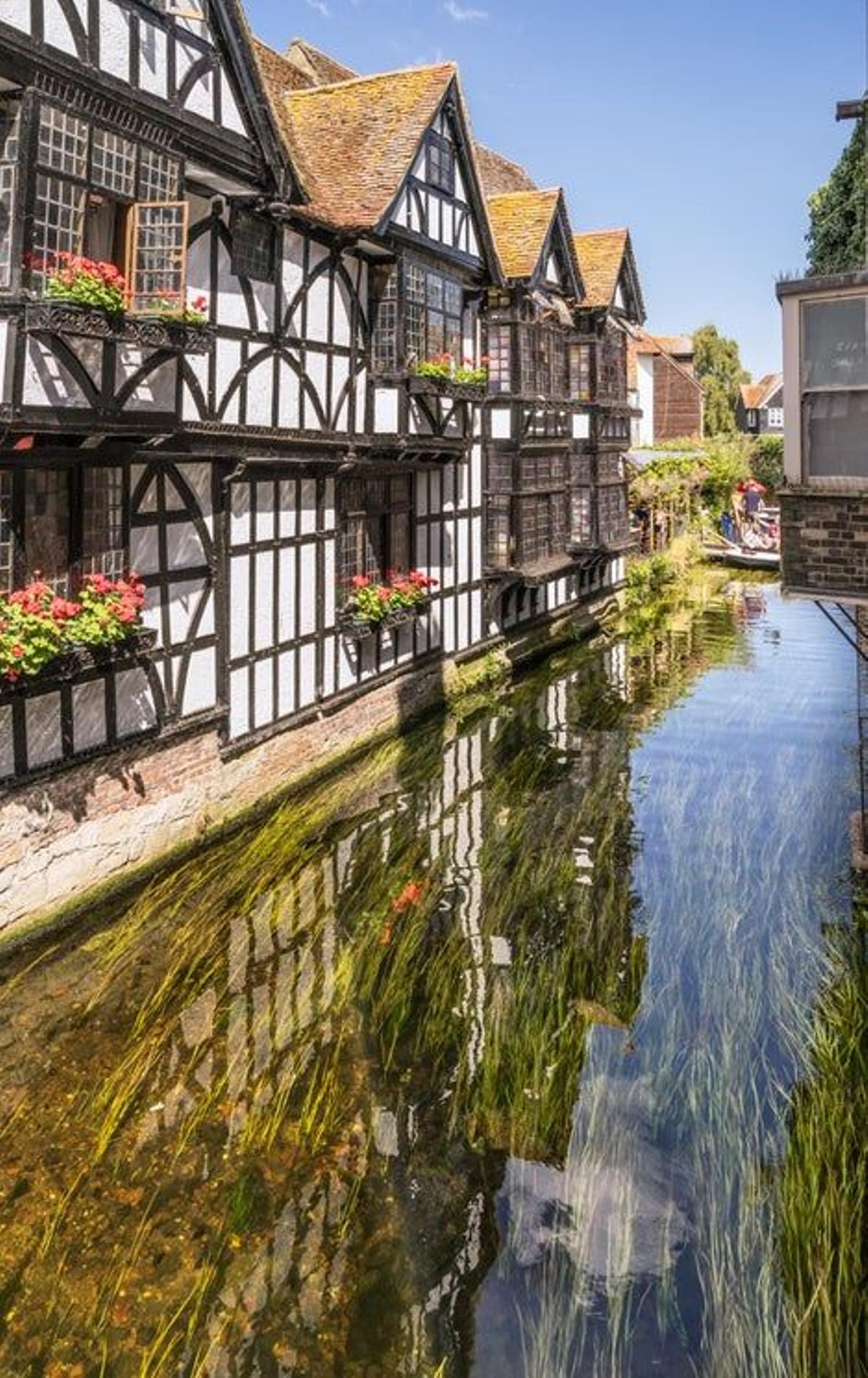 Canterbury rio