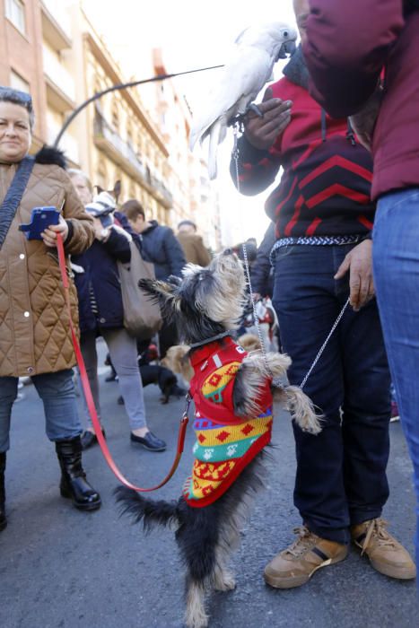 Fiesta de Sant Antoni en la ciudad de València