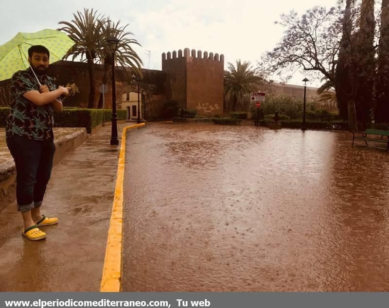 Las tormentas de la provincia en imágenes