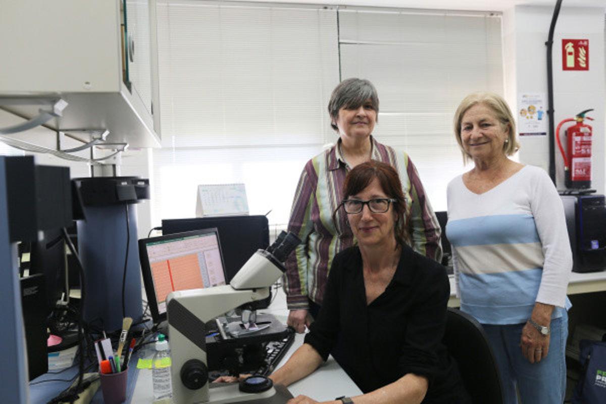 Las investigadoras autoras del trabajo Carmen Torres, Pura Alcázar y Carmen Galán.