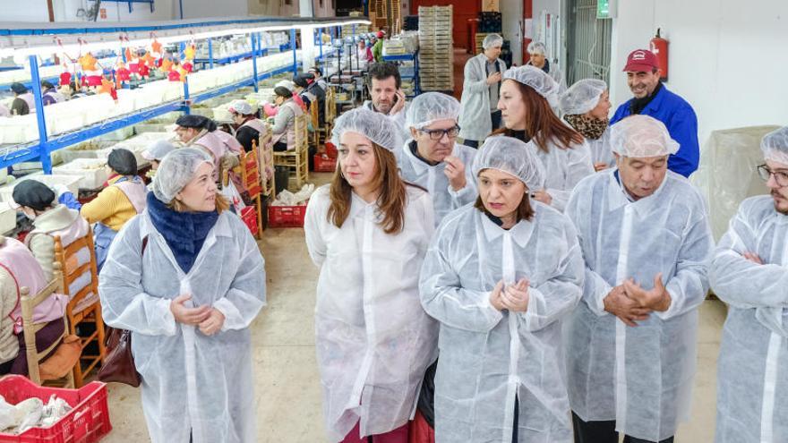 Bonig en el almacén de uva de la Cooperativa de Monforte