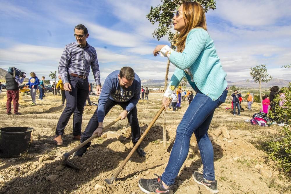 Proyecto para convertir la cantera de Cox en zona verde