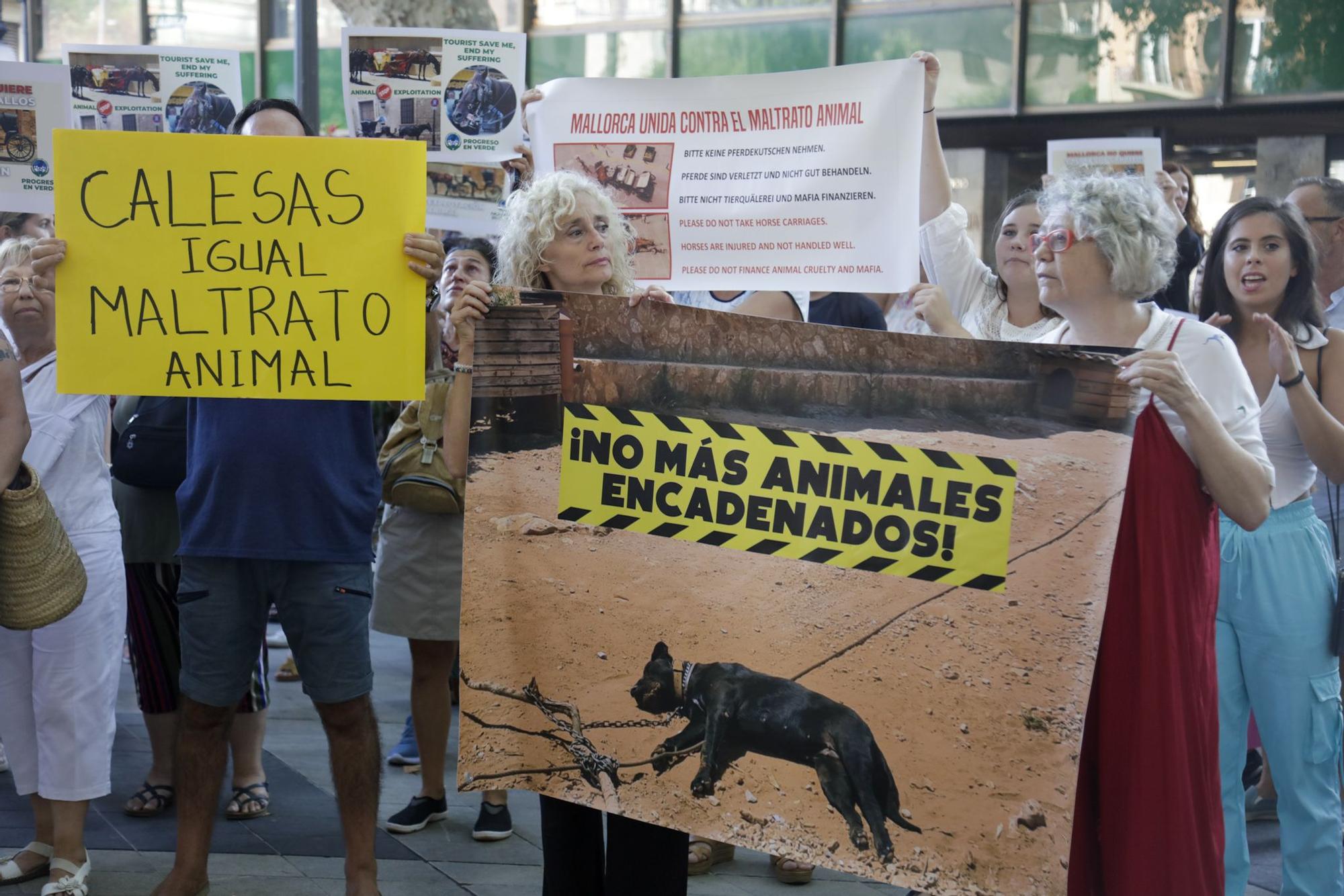 Cientos de personas exigen en Palma "el fin de la explotación de los caballos de galeras"