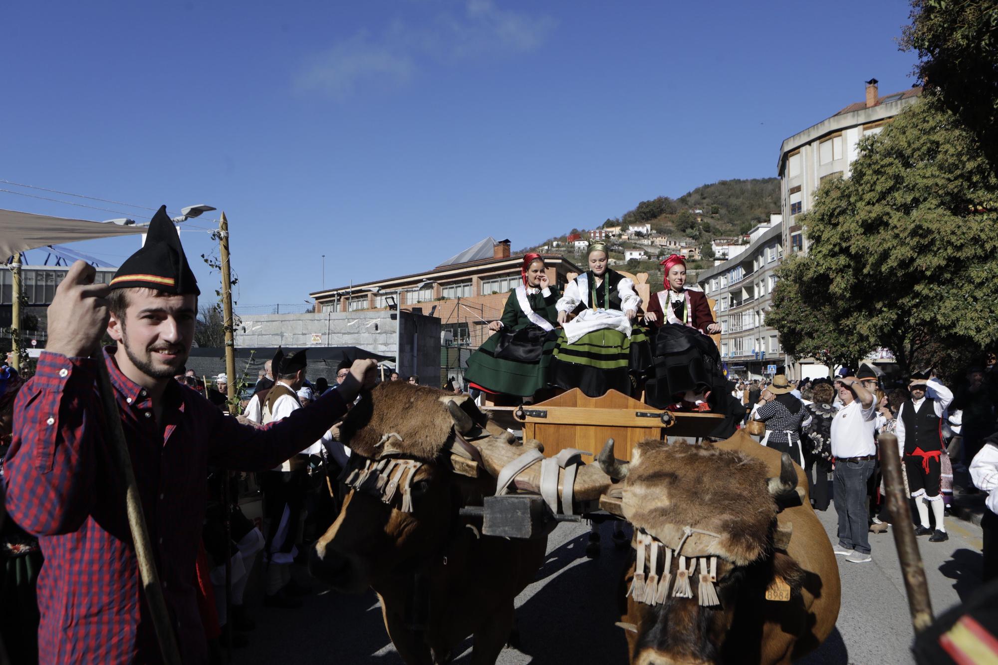 EN IMÁGENES: La localidad allerana de Moreda celebra San Martín, la fiesta de los Humanitarios