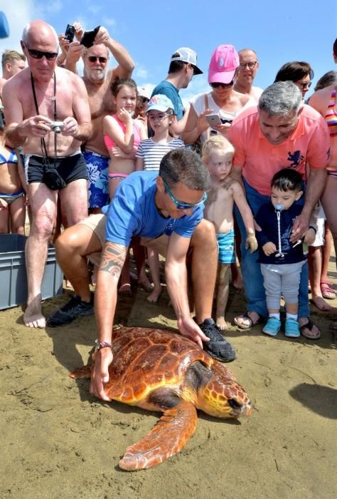 GARZA ÁNADE TORTUGA SUELTA CHARCA MASPALOMAS