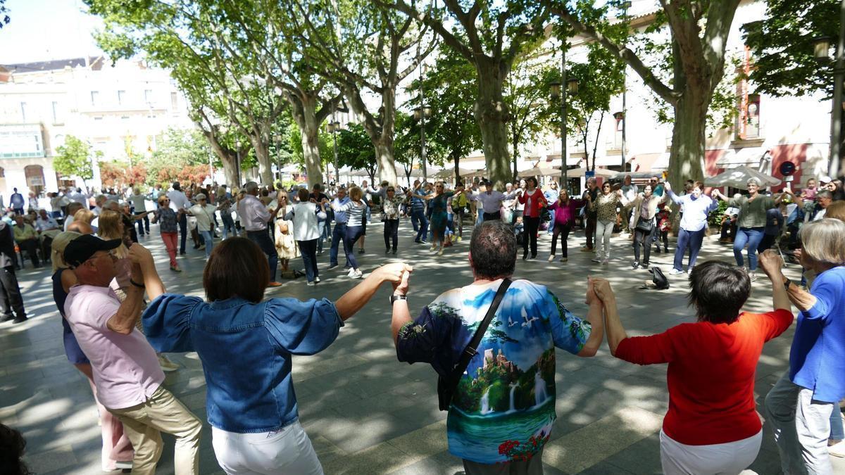Ballades de sardanes.