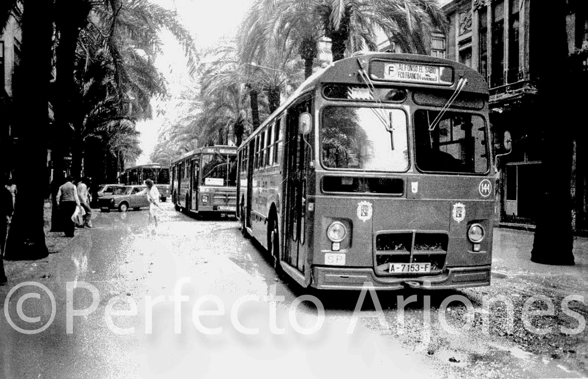 Riada de 1982: El día que Alicante se partió en dos