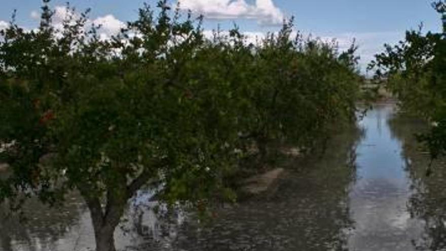 Operarios de Riegos de Levante y El Canal reparando la rotura de la red principal del Segundo Canal, que anegó algunos campos de cultivo en Atzavares Bajo.