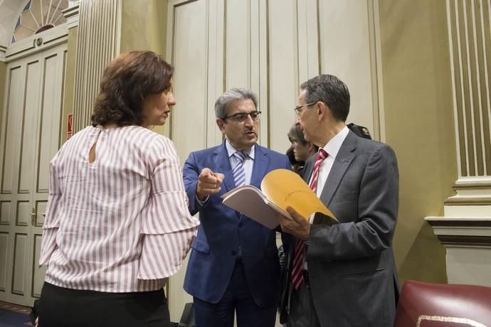 Delia Padrón Pleno del Parlamento de Canarias , Santa Cruz de Tenerife , presidente Fernando Clavijo CC