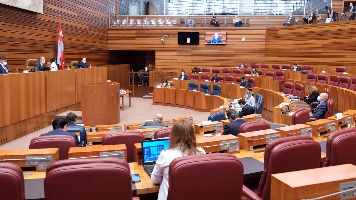 Pleno en las Cortes de Castilla y León.