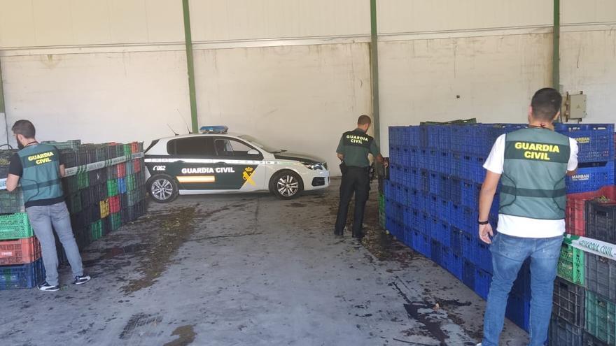 Intervienen casi 20 toneladas de uva foránea procedente de Castilla con destino a la DO Valdeorras