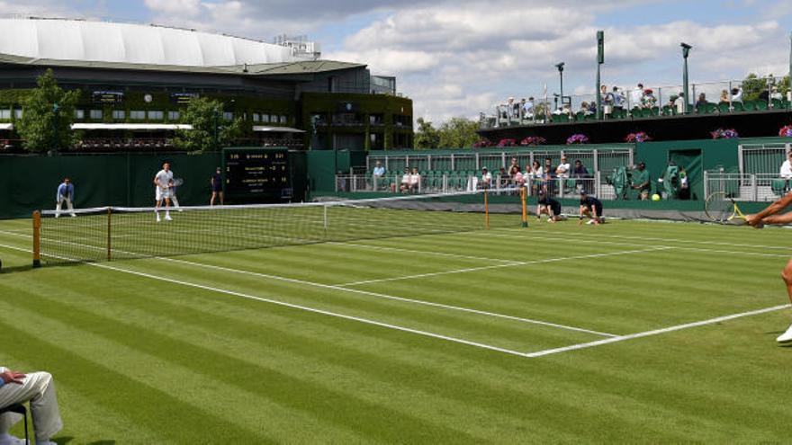 Tomic contra Tsonga.