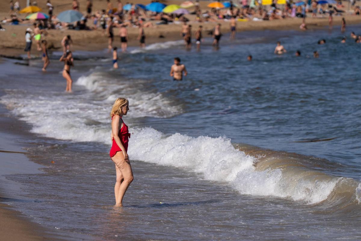 Barcelona. Turistas disfrutan del baño en una playa de Barcelona durante una jornada de altas temperaturas. El aumento de la temperatura del agua del mar Mediterráneo preocupa a los expertos por sus efectos sobre los ecosistemas marinos y por favorecer fenómenos meteorológicos más extremos. 24 de julio de 2026. Sociedad. AUTOR: ZOWY VOETEN