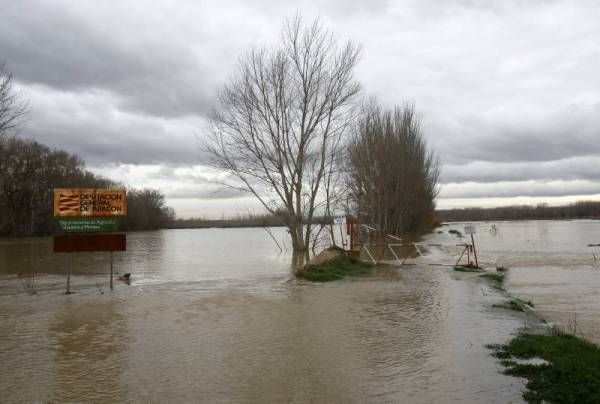 Fotogalería: La crecida del Ebro a su paso por Zaragoza